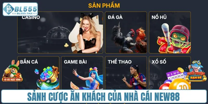 Sảnh cược ăn khách của nhà cái New88